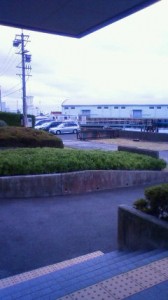 NEC_0061.jpg
